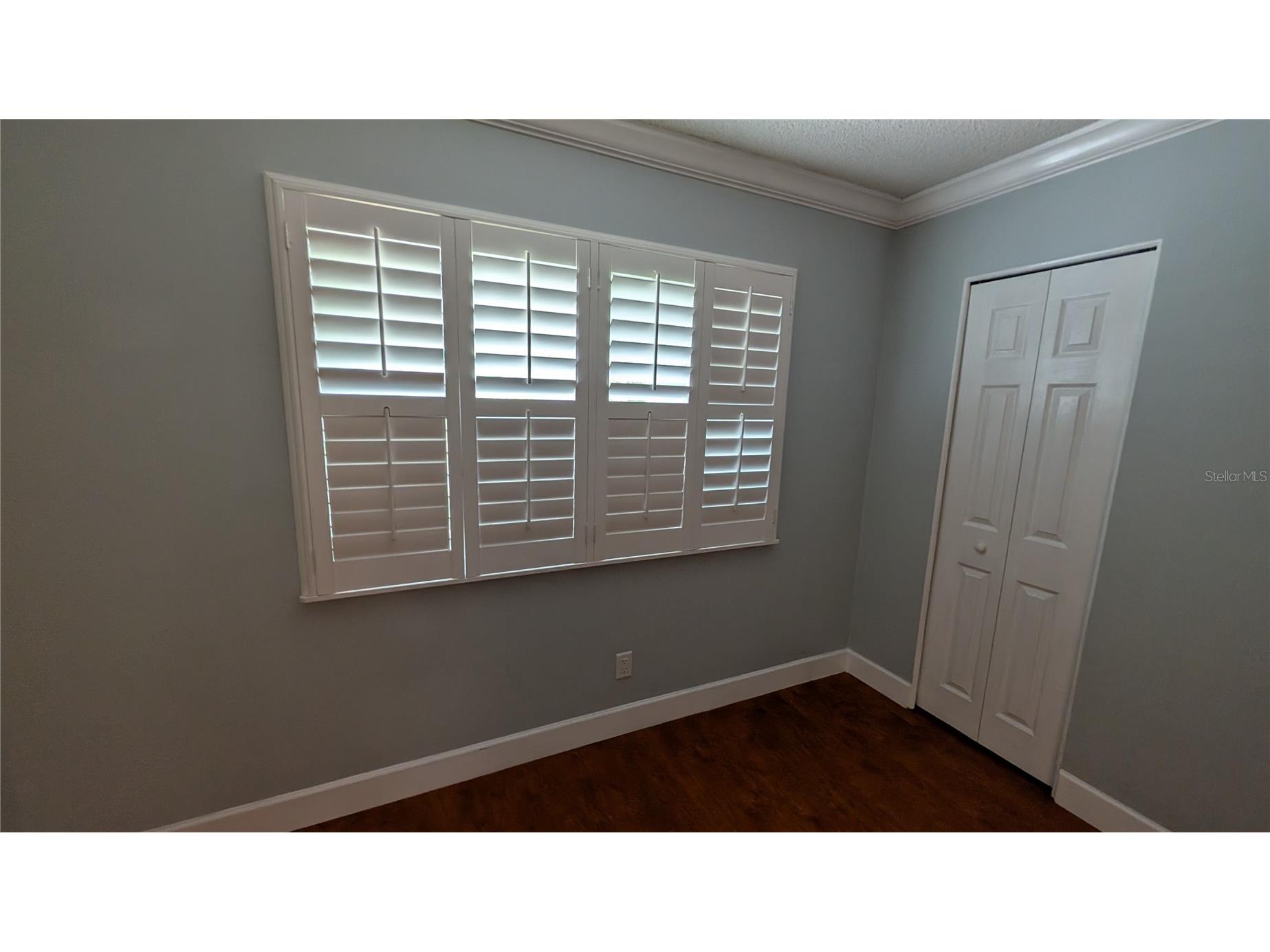 4000 Poinciana Court Palm Harbor FL 34684 TB8519249 image25