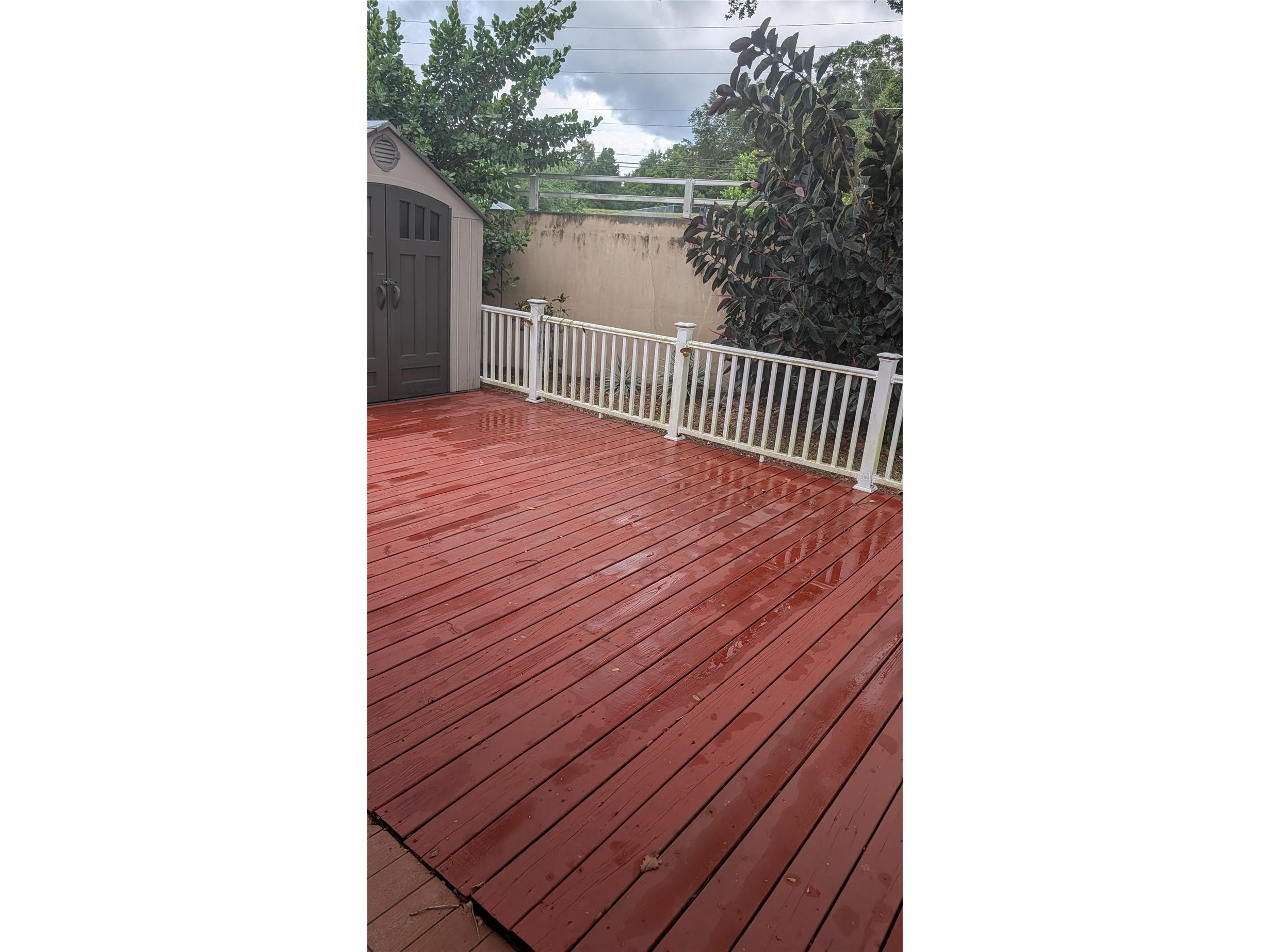 4000 Poinciana Court Palm Harbor FL 34684 TB8519249 image28