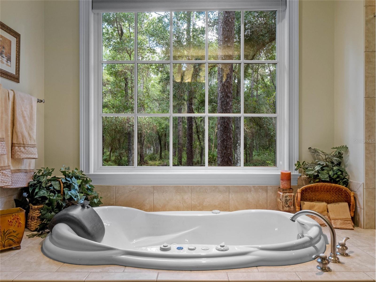 4000 Rouse Road Orlando FL 32817 - ECONLOCKHATCHEE RIVER O6382368 image13
