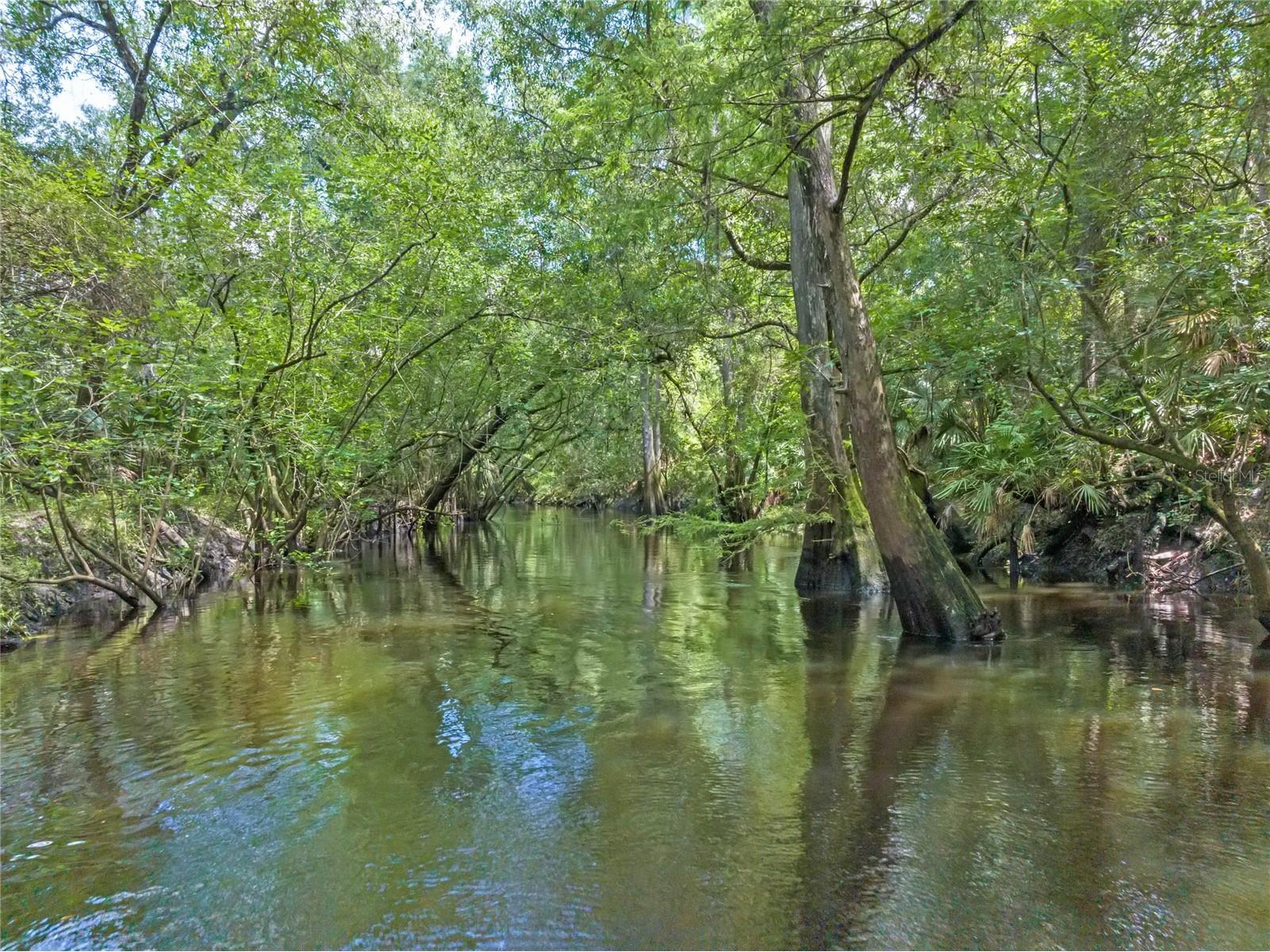 4000 Rouse Road Orlando FL 32817 - ECONLOCKHATCHEE RIVER O6382368 image2