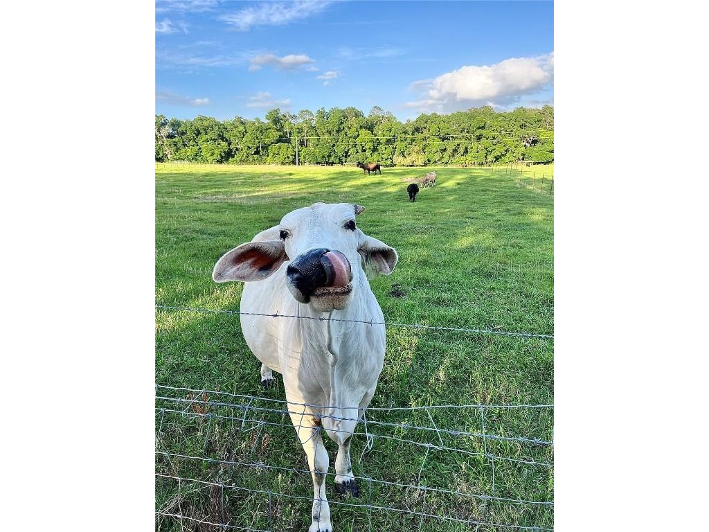 4000 SW 23rd Street #3-205 Gainesville FL 32608 GC531184 image32