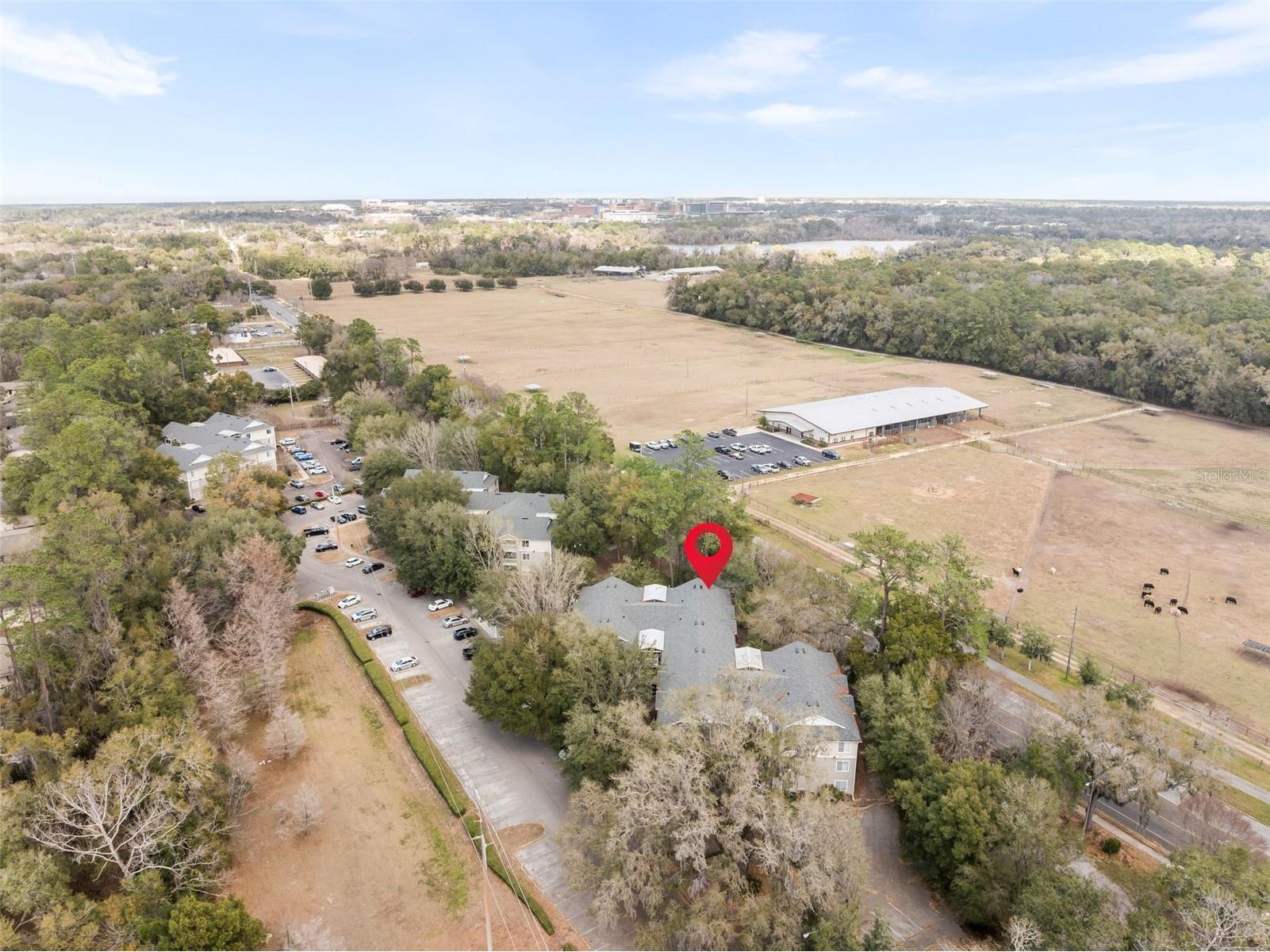 4000 SW 23rd Street #4-303 Gainesville FL 32608 GC537951 image46