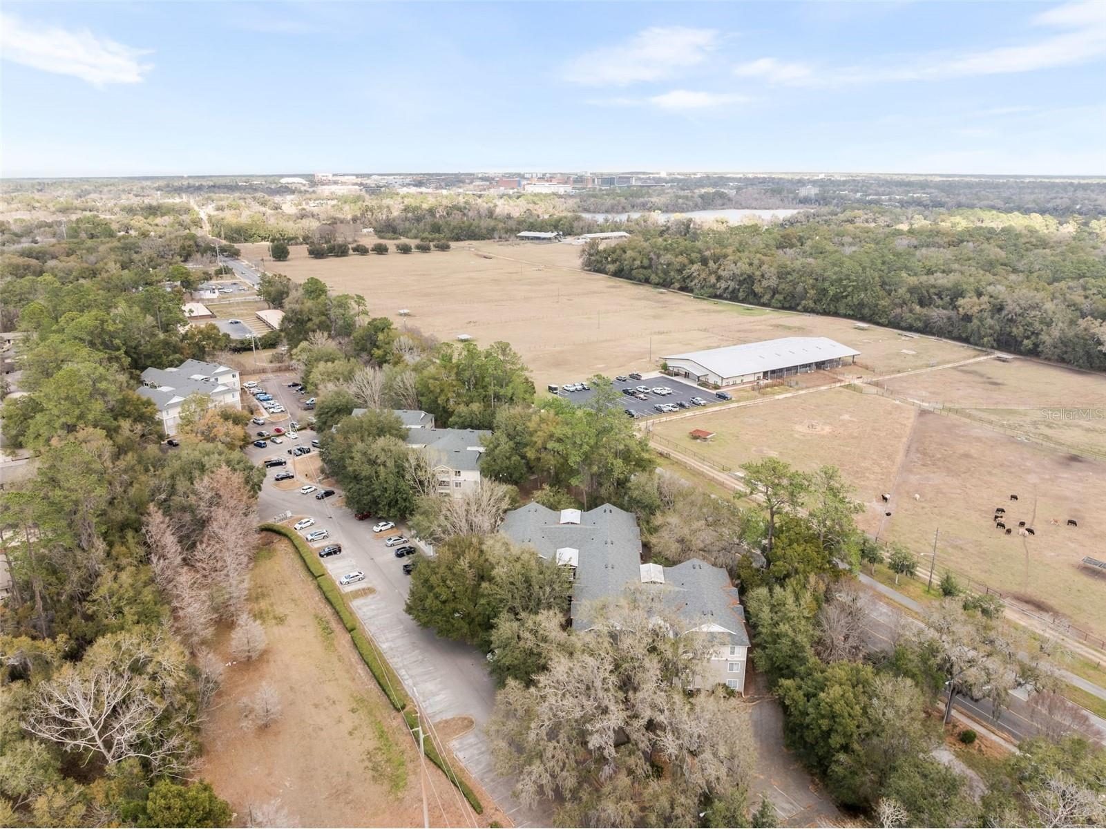 4000 SW 23rd Street #4-303 Gainesville FL 32608 GC537951 image47