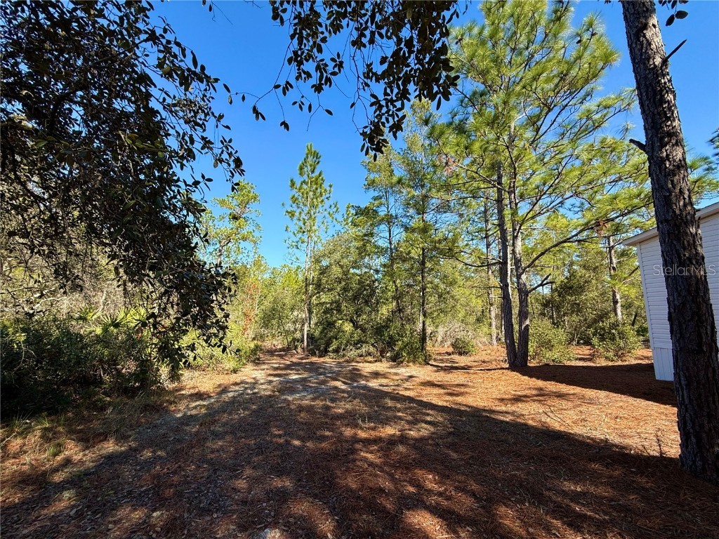 40001 Maggie Jones Road Paisley FL 32767 G5091604 image13