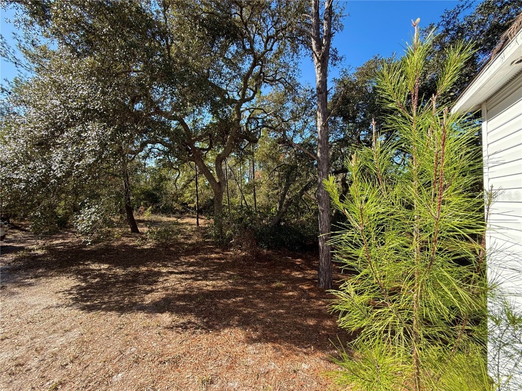 40001 Maggie Jones Road Paisley FL 32767 G5091604 image14