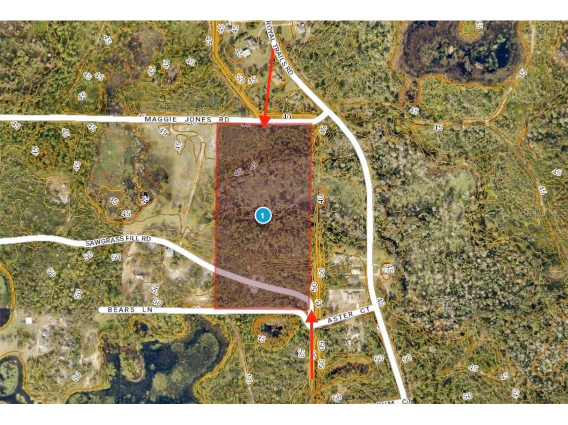 40001 Maggie Jones Road Paisley FL 32767 G5091604 image19