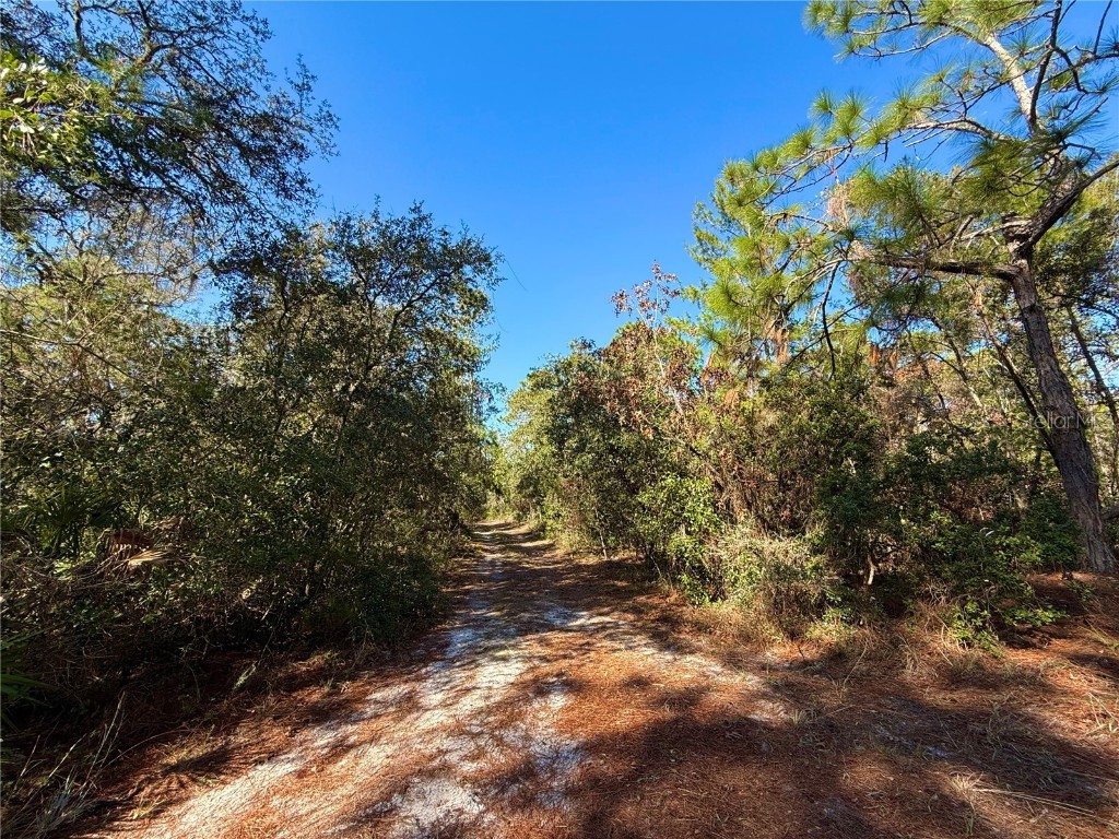 40001 Maggie Jones Road Paisley FL 32767 G5091604 image3