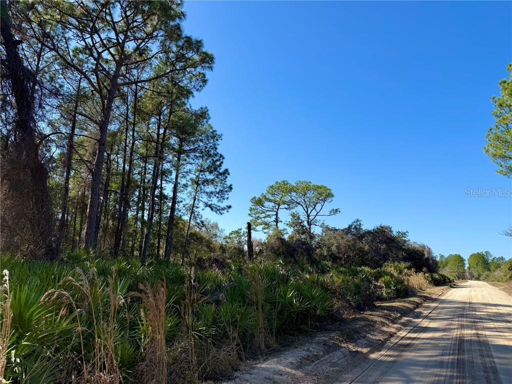 40001 Maggie Jones Road Paisley FL 32767 G5091604 image42