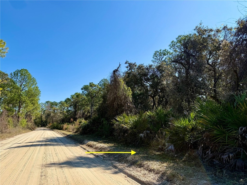 40001 Maggie Jones Road Paisley FL 32767 G5091604 image44