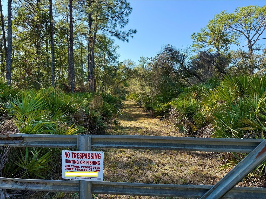 40001 Maggie Jones Road Paisley FL 32767 G5091604 image46