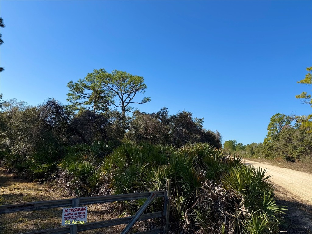 40001 Maggie Jones Road Paisley FL 32767 G5091604 image47