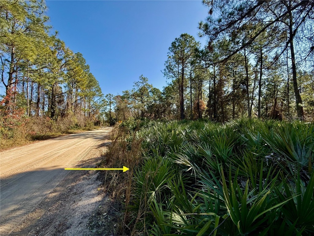 40001 Maggie Jones Road Paisley FL 32767 G5091604 image52