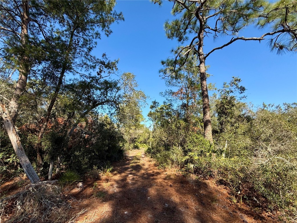 40001 Maggie Jones Road Paisley FL 32767 G5091604 image55