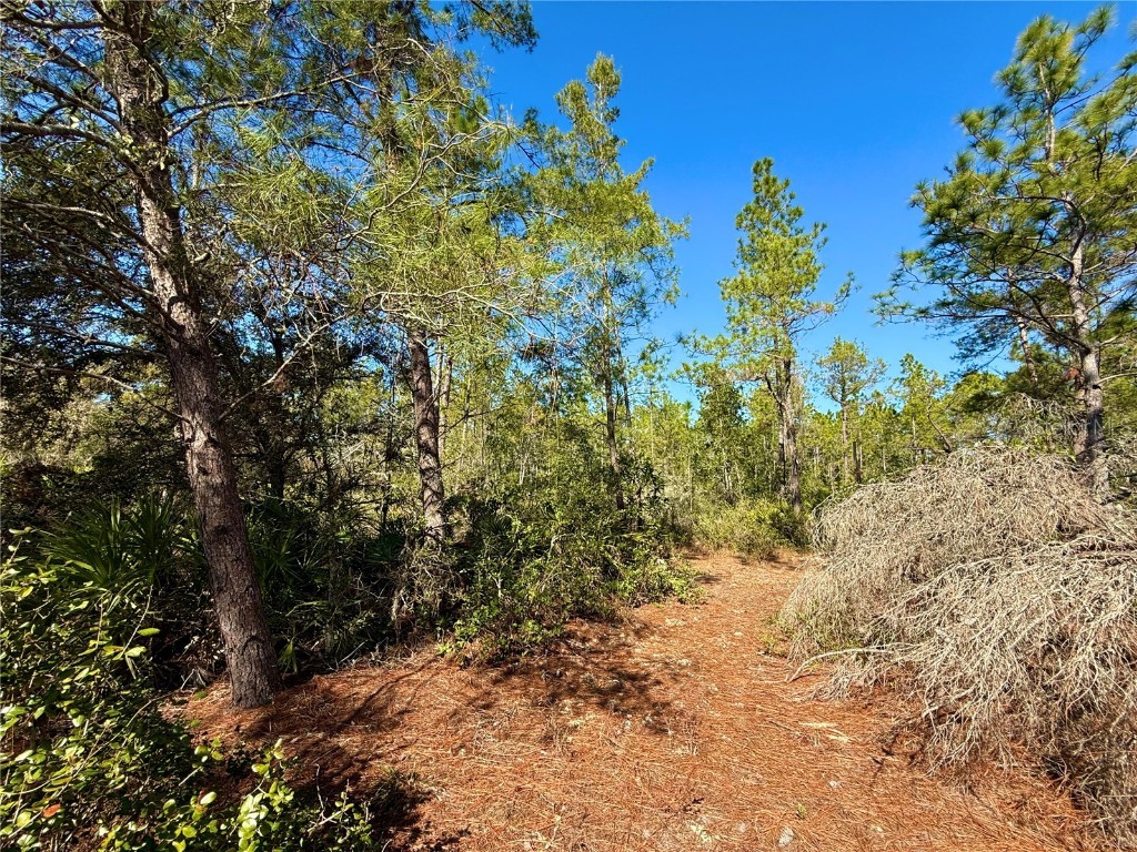 40001 Maggie Jones Road Paisley FL 32767 G5091604 image59