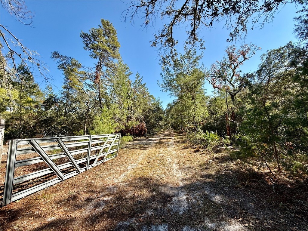 40001 Maggie Jones Road Paisley FL 32767 G5091604 image6