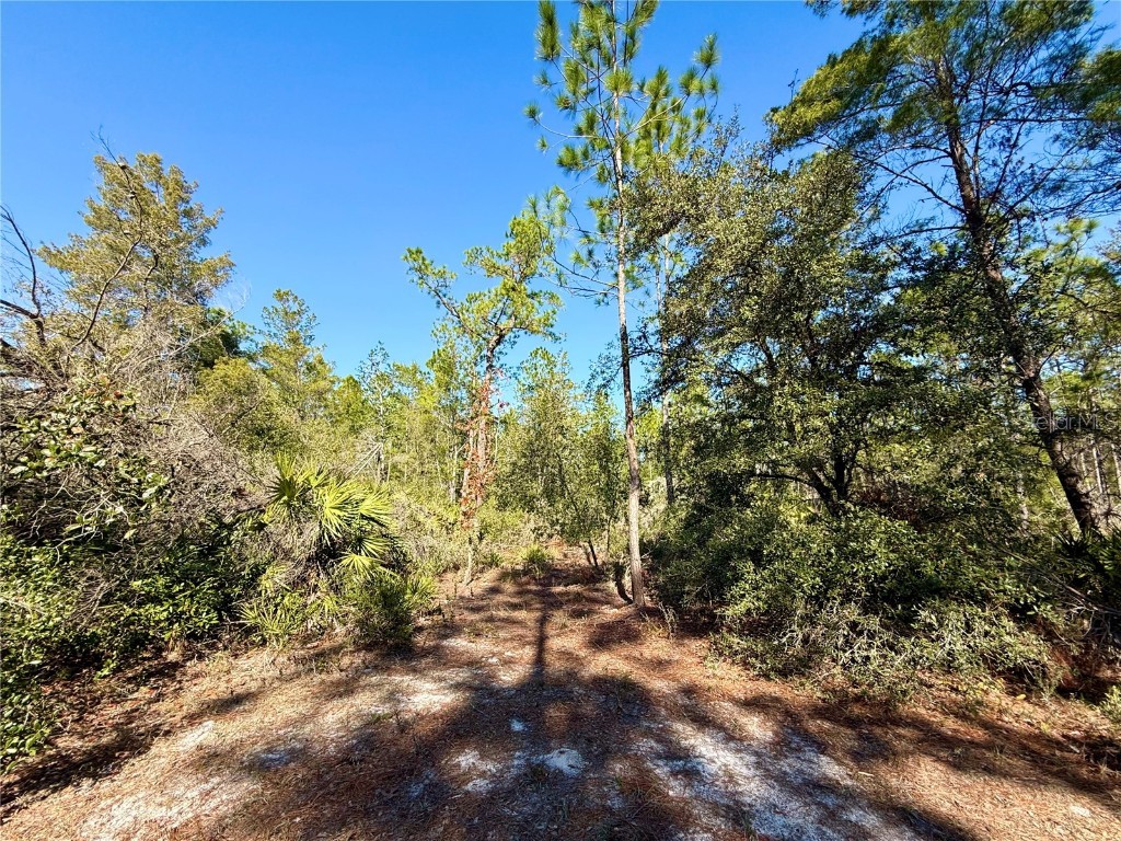 40001 Maggie Jones Road Paisley FL 32767 G5091604 image60