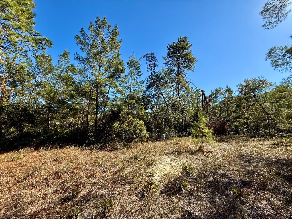 40001 Maggie Jones Road Paisley FL 32767 G5091604 image63