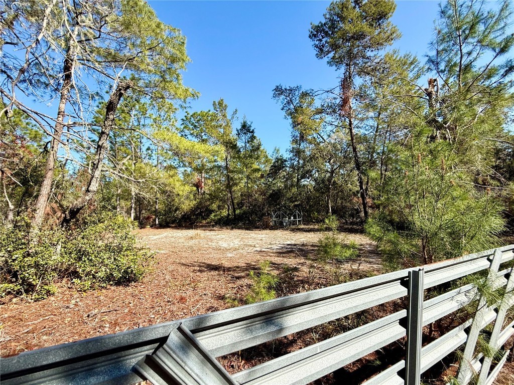 40001 Maggie Jones Road Paisley FL 32767 G5091604 image7