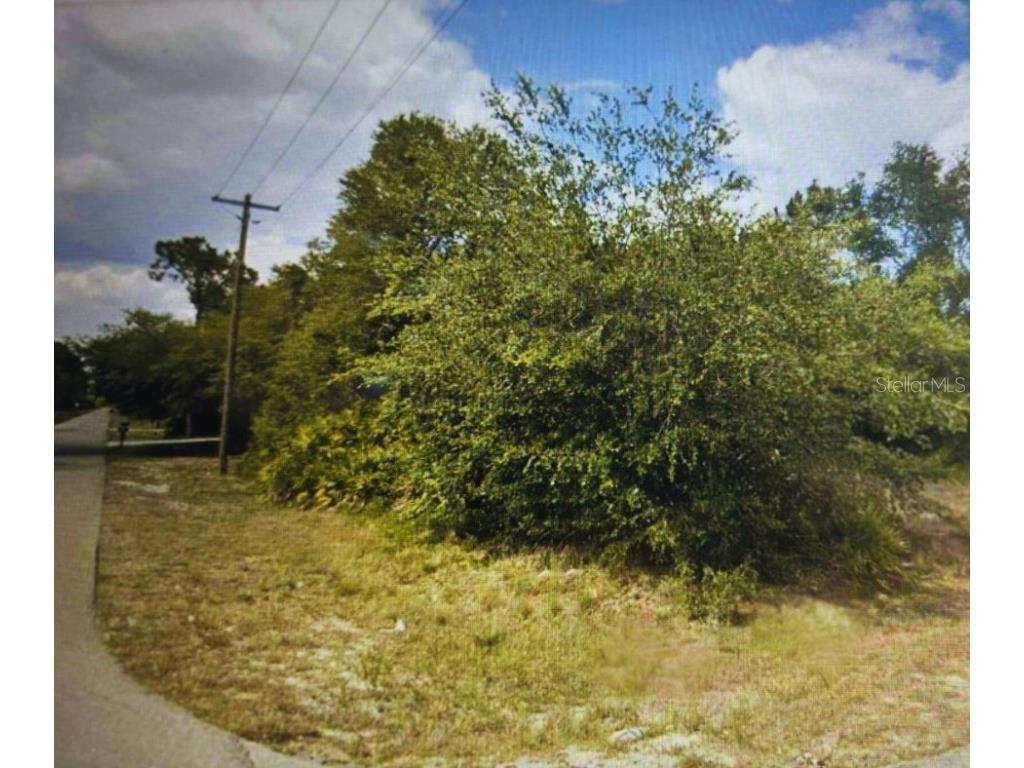 4001 E 20 Street Alva FL 33920 OM705294 image2