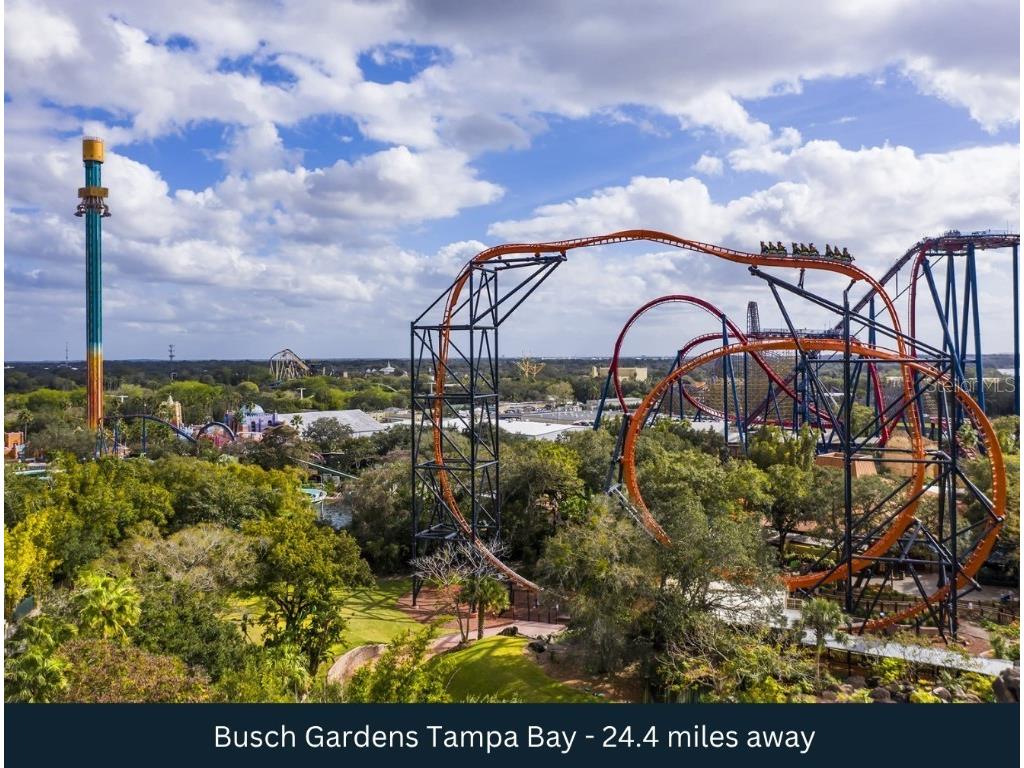 4001 Fox Ridge Boulevard Wesley Chapel FL 33543 TB8450832 image9