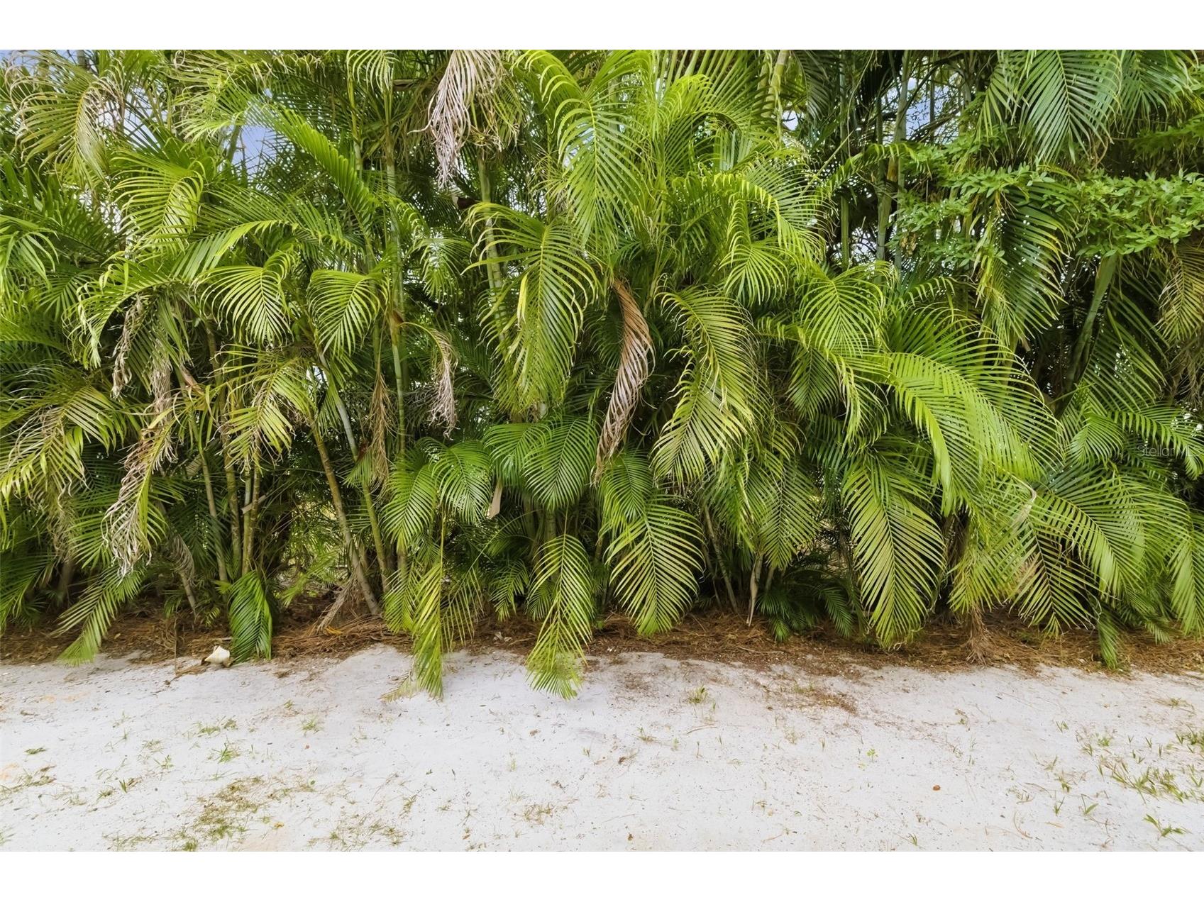 4001 Groveland Avenue Sarasota FL 34231 A4691652 image45