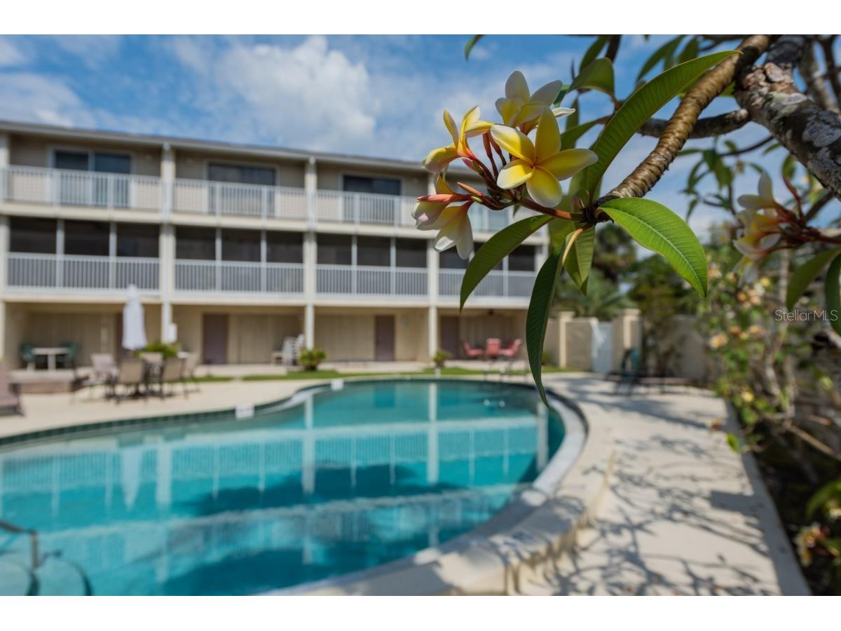 4001 Gulf Drive #108 Holmes Beach FL 34217 A4682197 image23