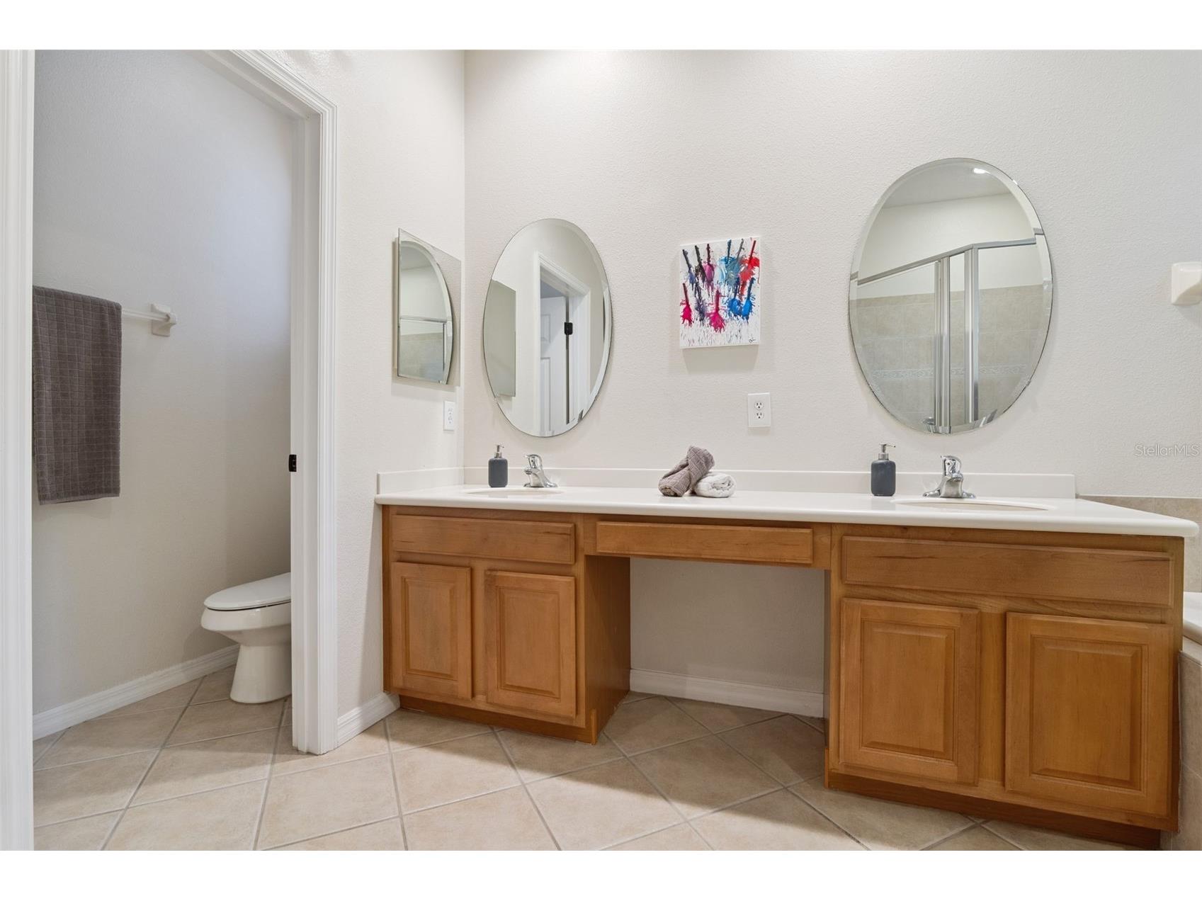 4001 Heirloom Rose Place Oviedo FL 32766 O6409596 image22