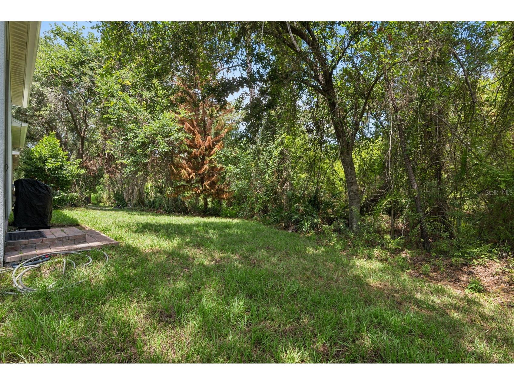 4001 Heirloom Rose Place Oviedo FL 32766 O6409596 image36