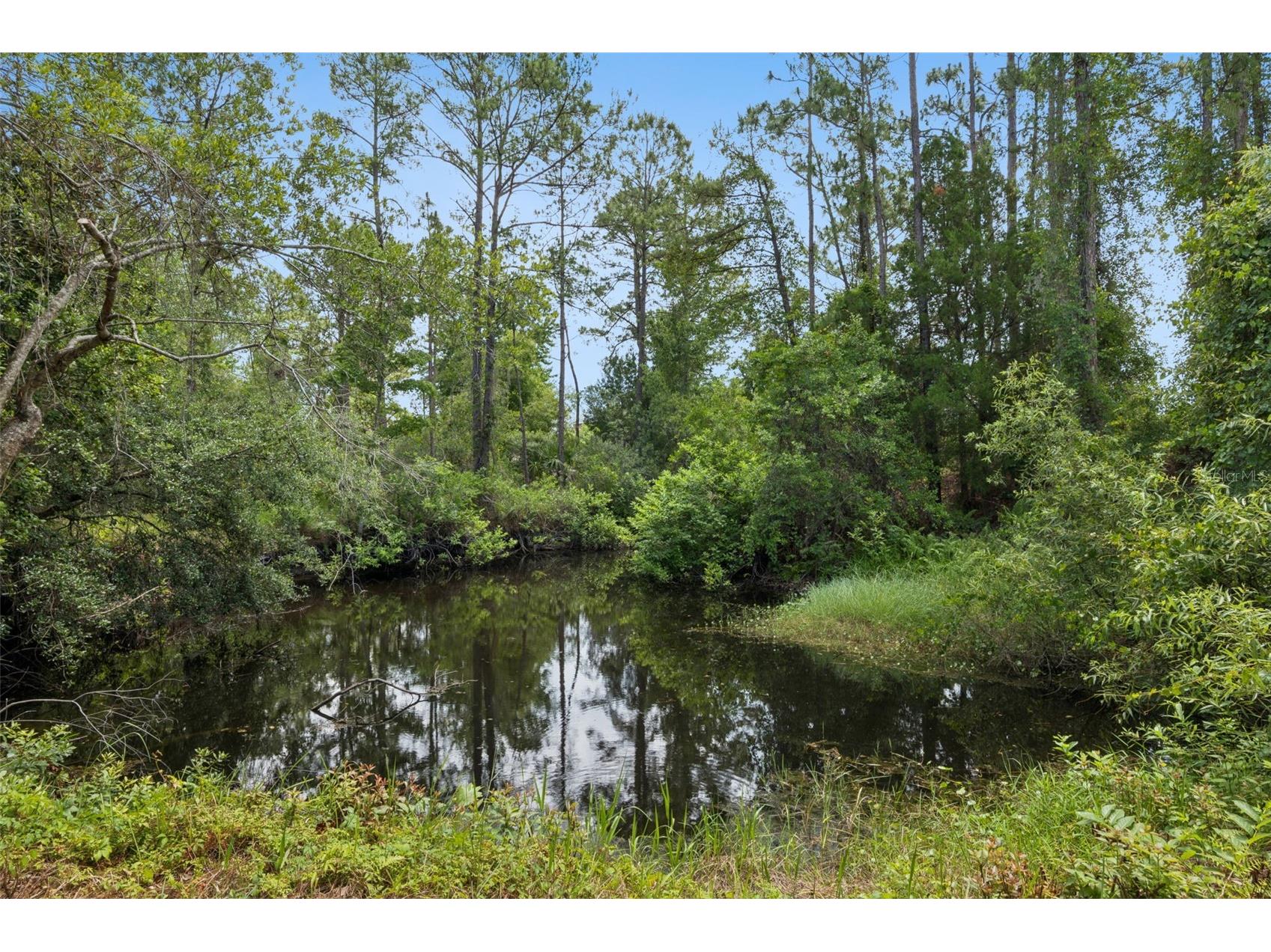4001 Heirloom Rose Place Oviedo FL 32766 O6409596 image39