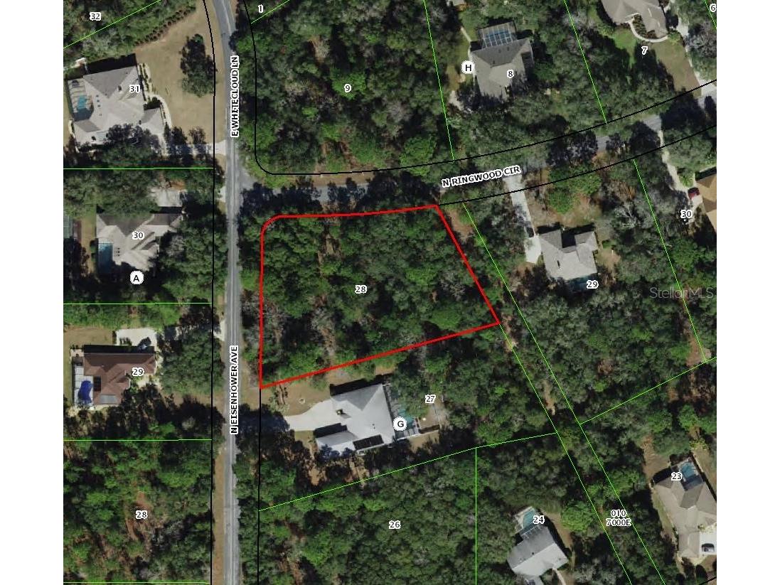 4001 N Ringwood Circle Hernando FL 34442 TB8477771 image1