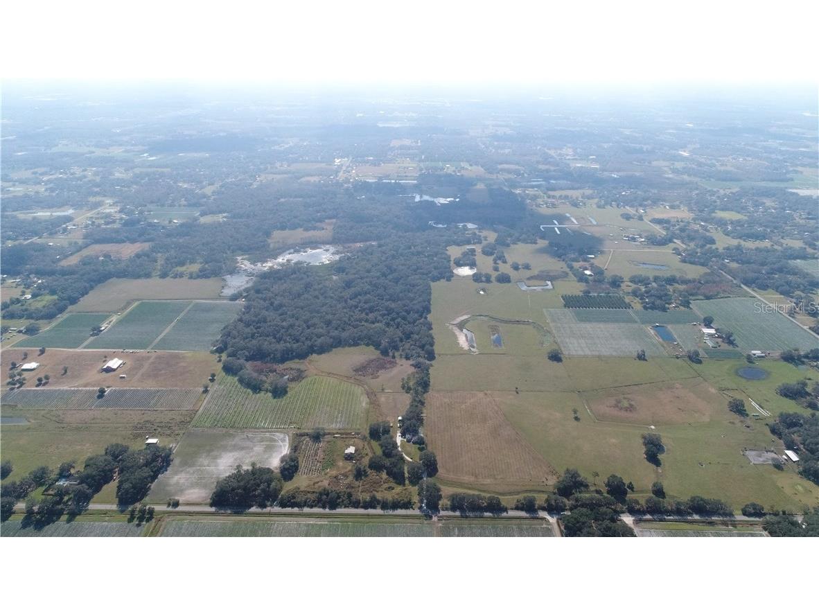 4001 W Knights Griffin Road Plant City FL 33565 T2923829 image1