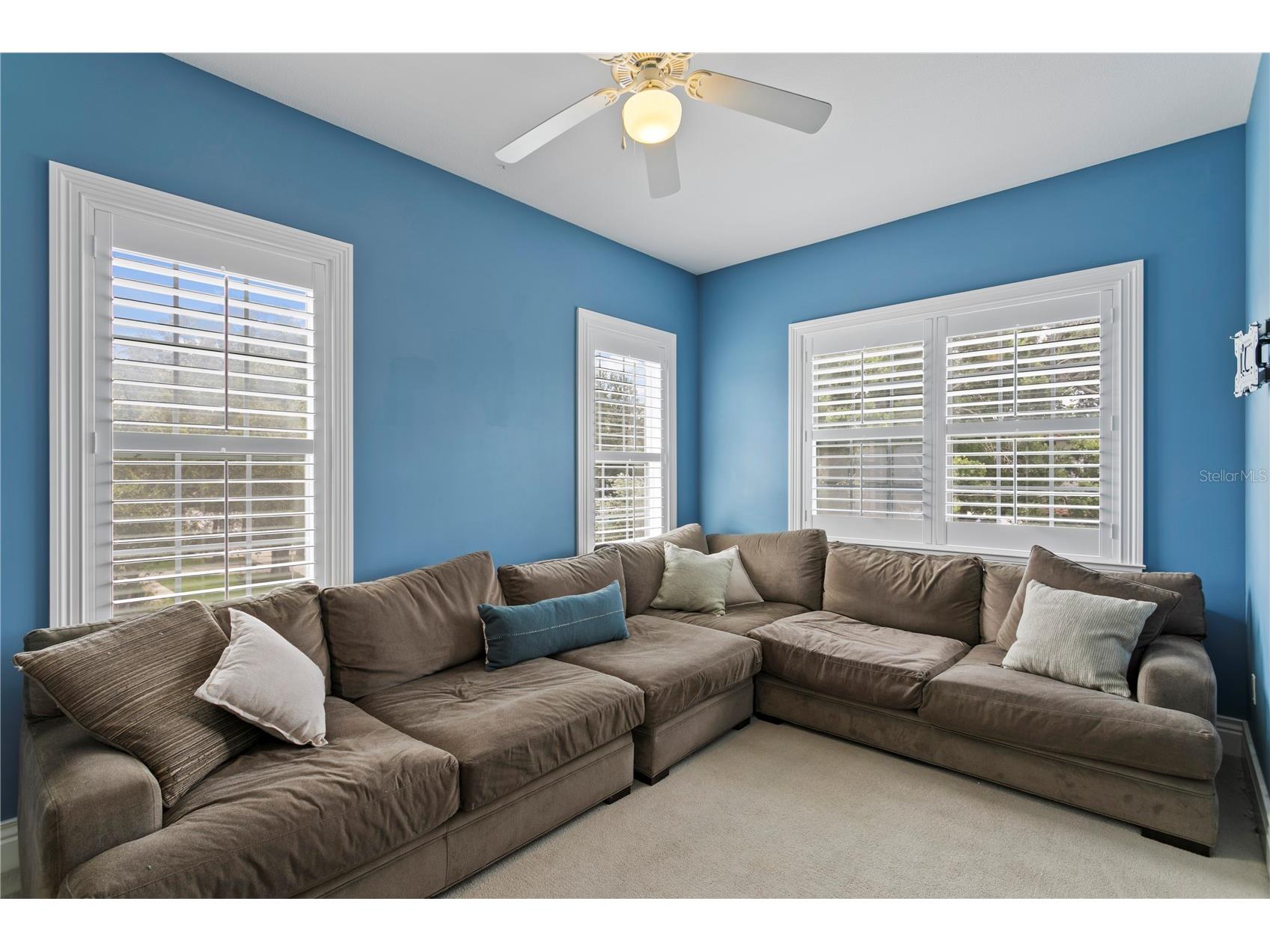 4001 W Vasconia Street Tampa FL 33629 TB8514397 image41