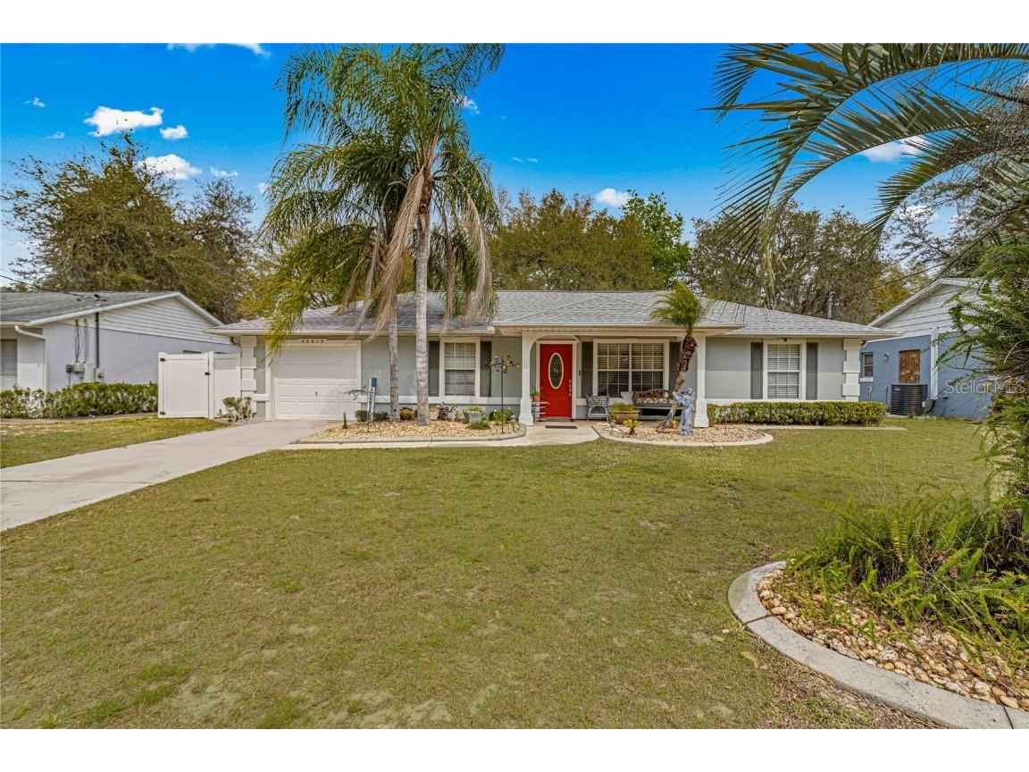 40015 French Road Lady Lake FL 32159 OM674003 image1