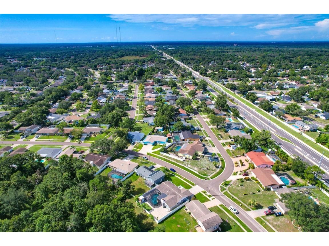 4002 Briarlake Drive Valrico FL 33596 TB8417788 image53