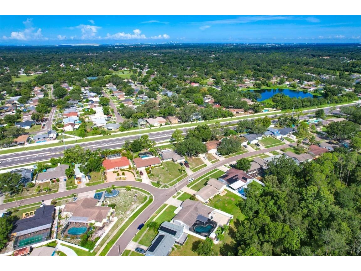 4002 Briarlake Drive Valrico FL 33596 TB8417788 image54