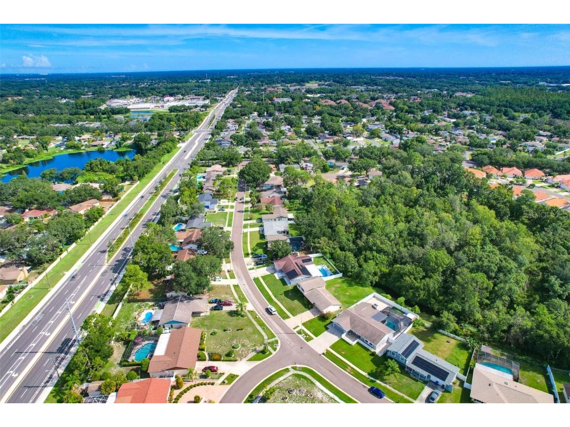 4002 Briarlake Drive Valrico FL 33596 TB8417788 image55