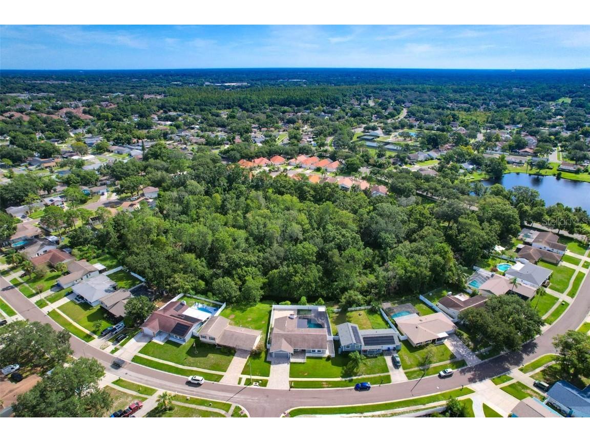 4002 Briarlake Drive Valrico FL 33596 TB8417788 image56