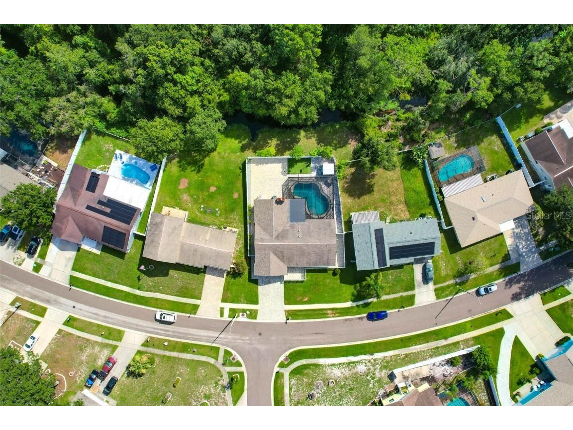 4002 Briarlake Drive Valrico FL 33596 TB8417788 image57