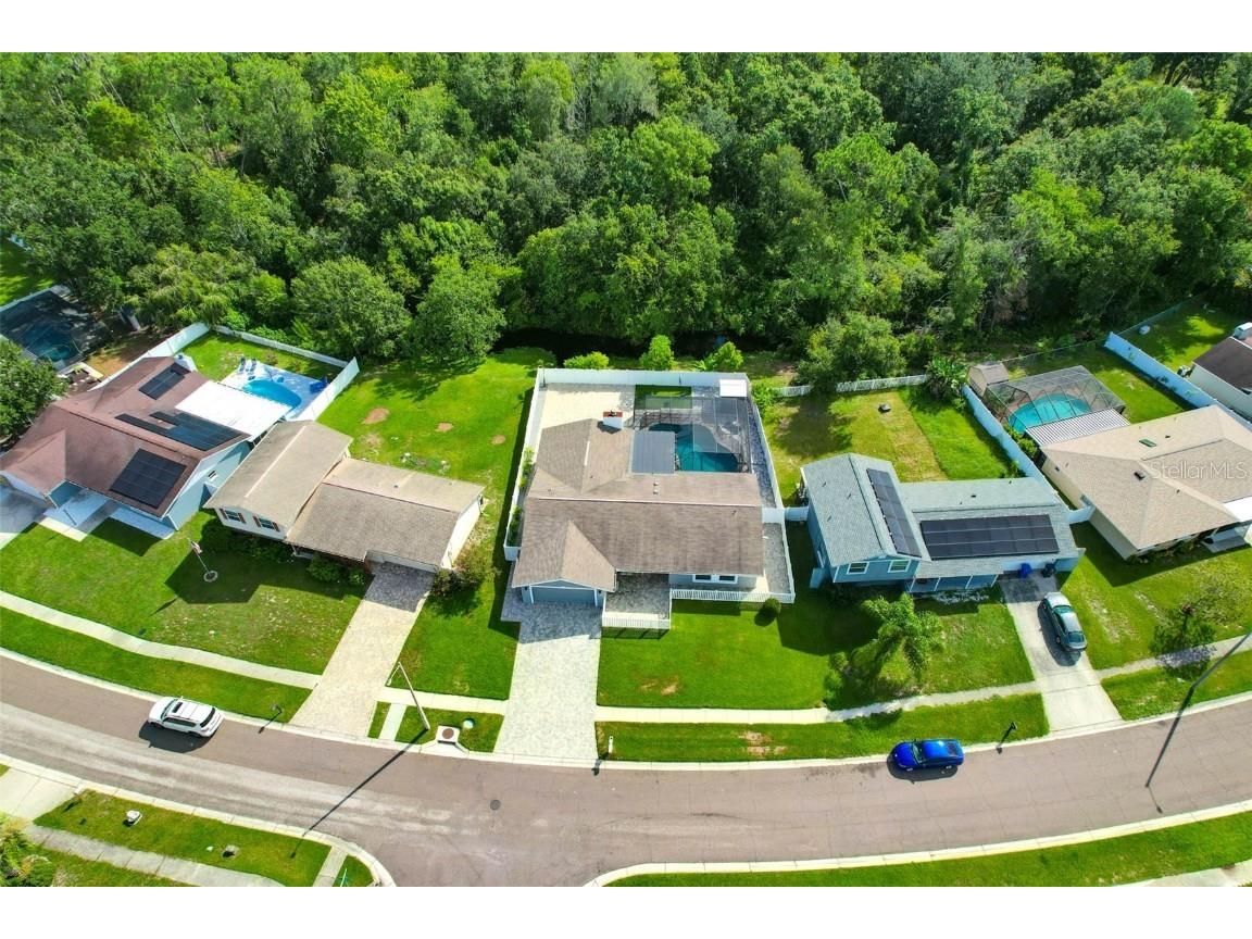 4002 Briarlake Drive Valrico FL 33596 TB8417788 image63