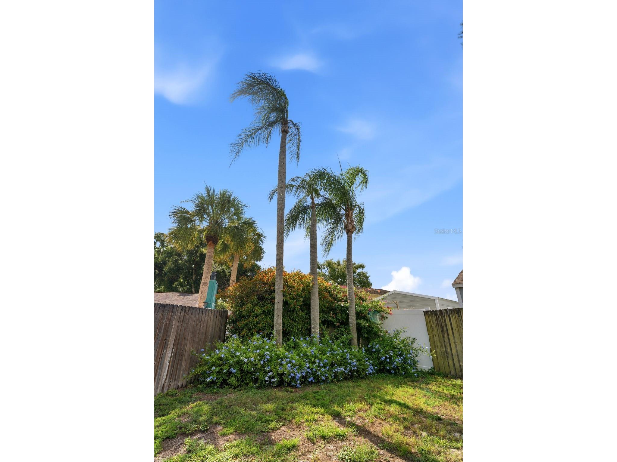 4002 Pebblestone Place Tampa FL 33624 TB8520731 image50