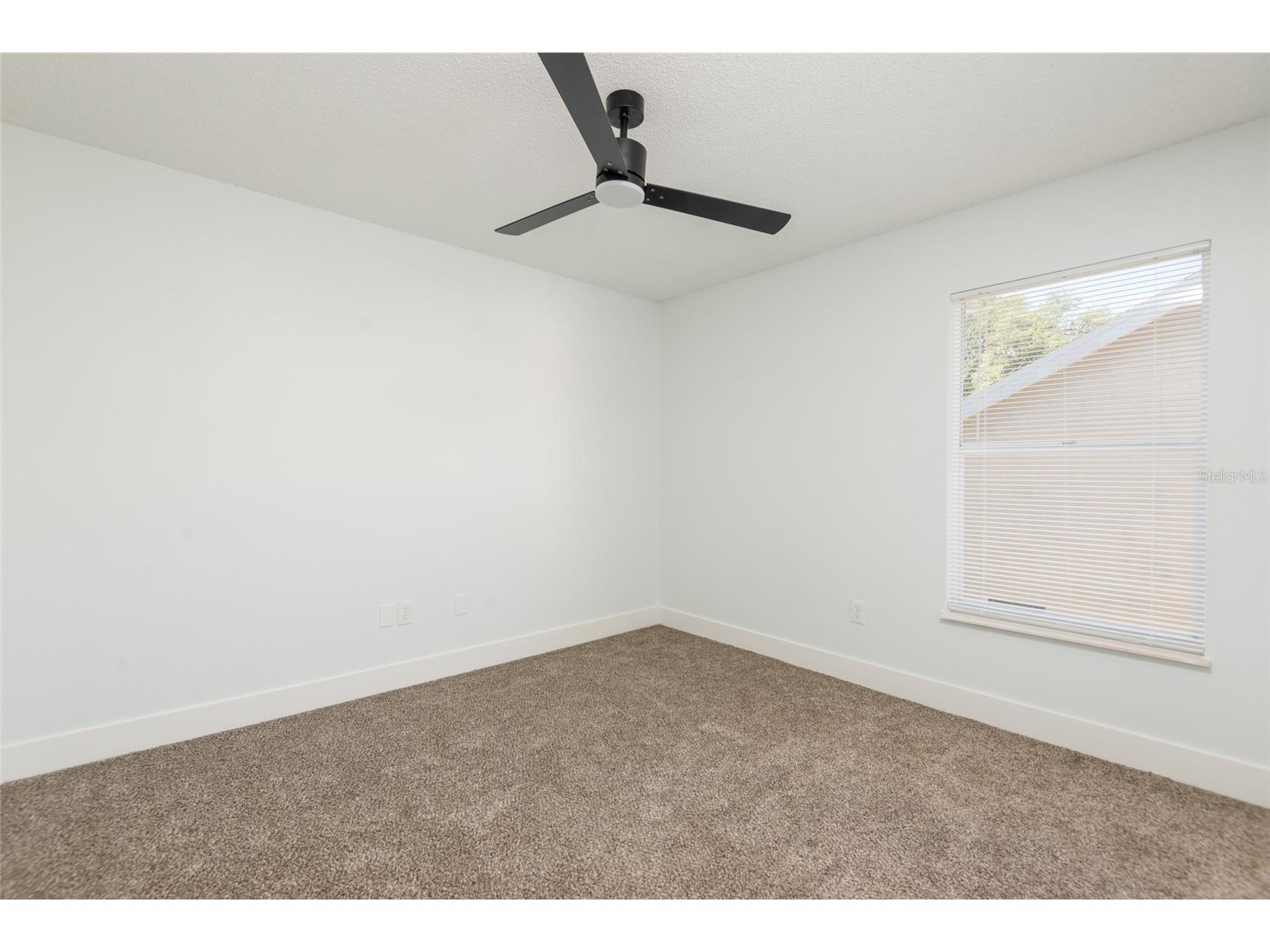 4002 Quail Briar Drive Valrico FL 33596 TB8498943 image21