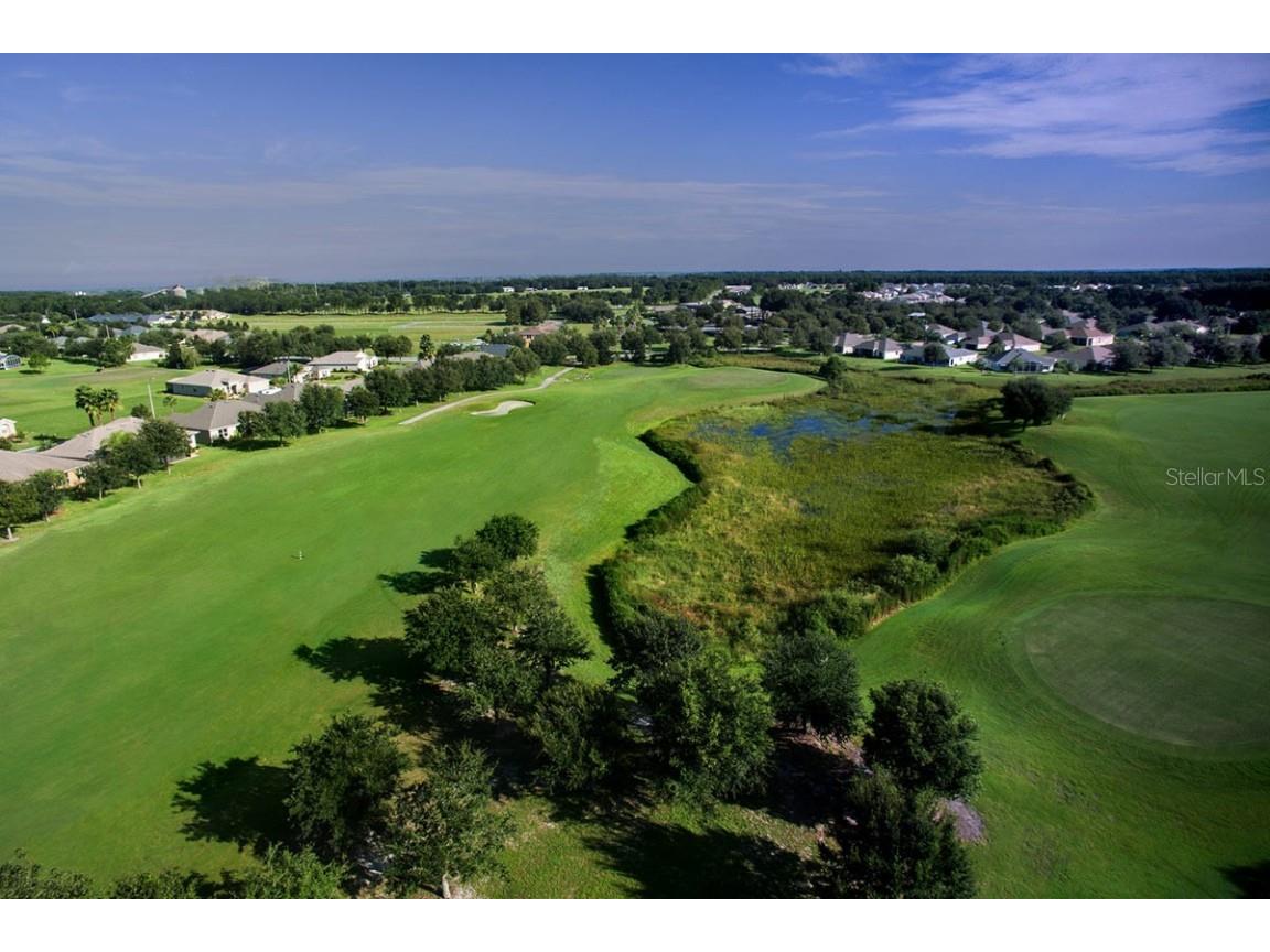 4002 Richmond Crossing Leesburg FL 34748 O6341438 image40