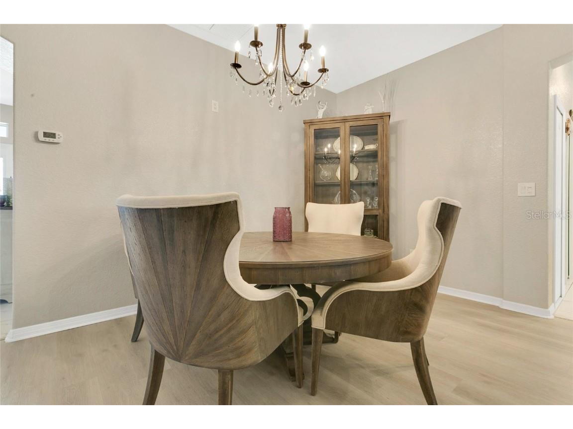 4002 Richmond Crossing Leesburg FL 34748 O6341438 image9