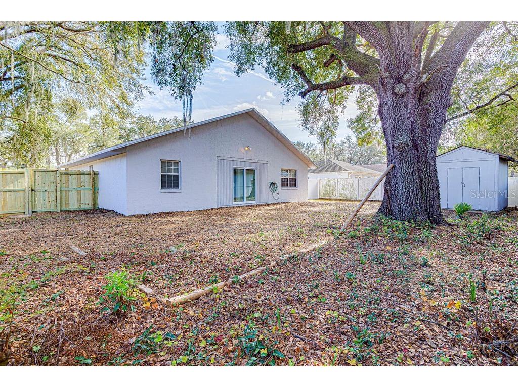 40021 Parkinsonia Street Lady Lake FL 32159 W7881765 image12