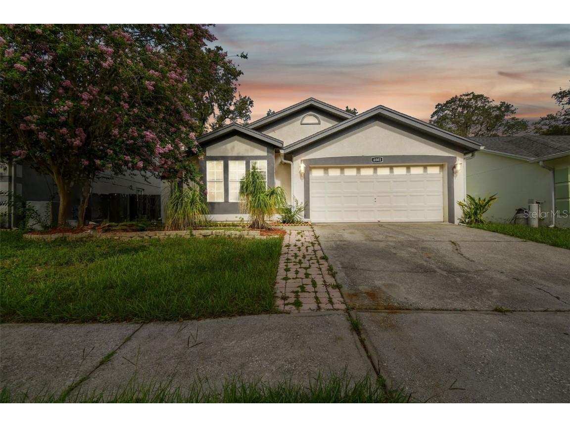 4003 Fontana Place Valrico FL 33596 T3444326 image1