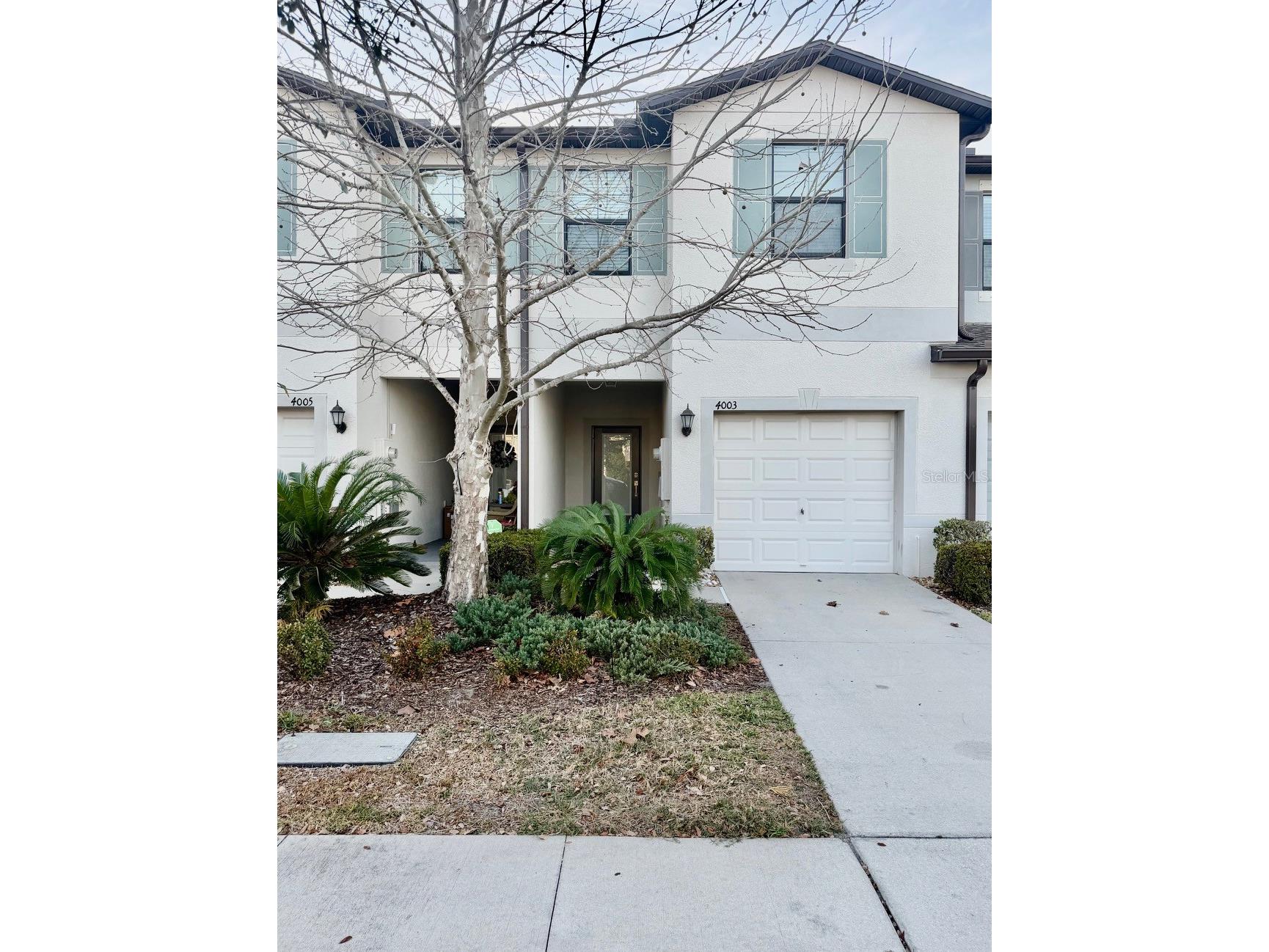 4003 Wild Senna Boulevard Tampa FL 33619 TB8478042 image1