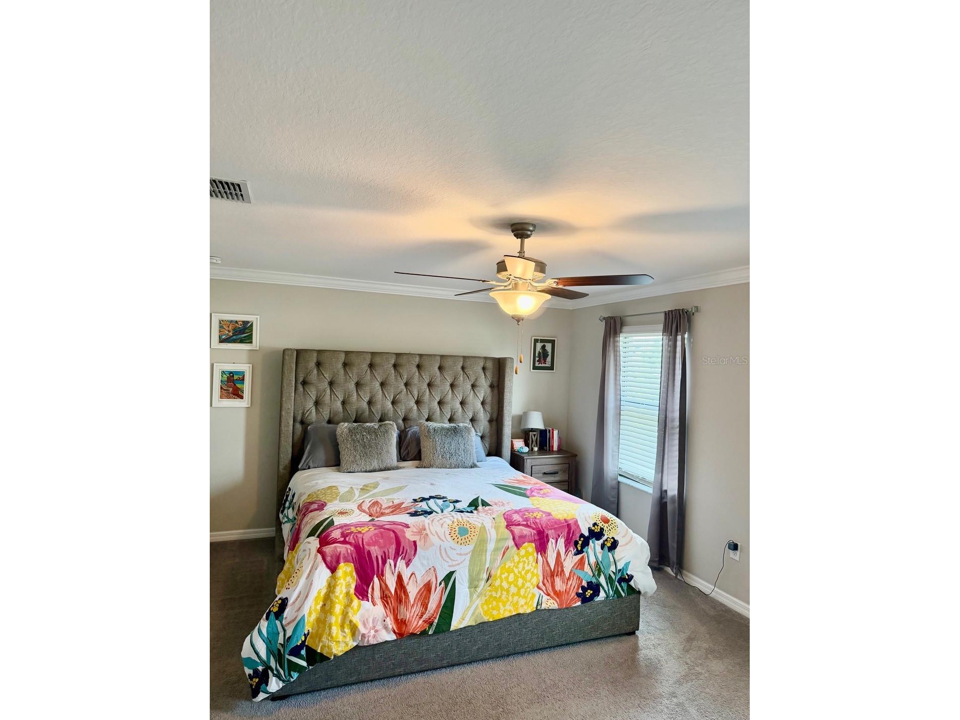 4003 Wild Senna Boulevard Tampa FL 33619 TB8478042 image10