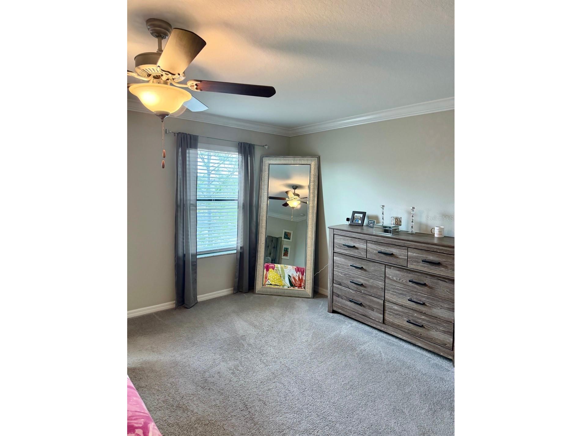 4003 Wild Senna Boulevard Tampa FL 33619 TB8478042 image11