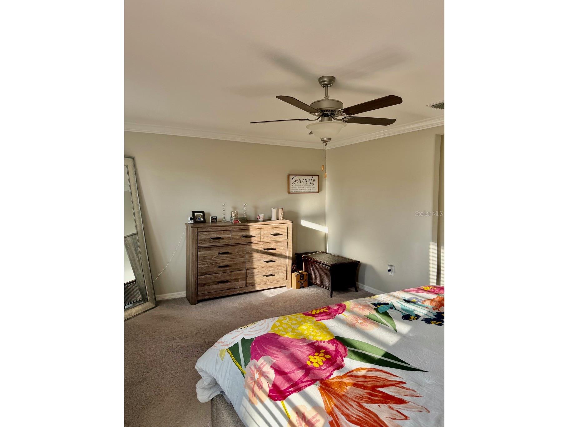 4003 Wild Senna Boulevard Tampa FL 33619 TB8478042 image12