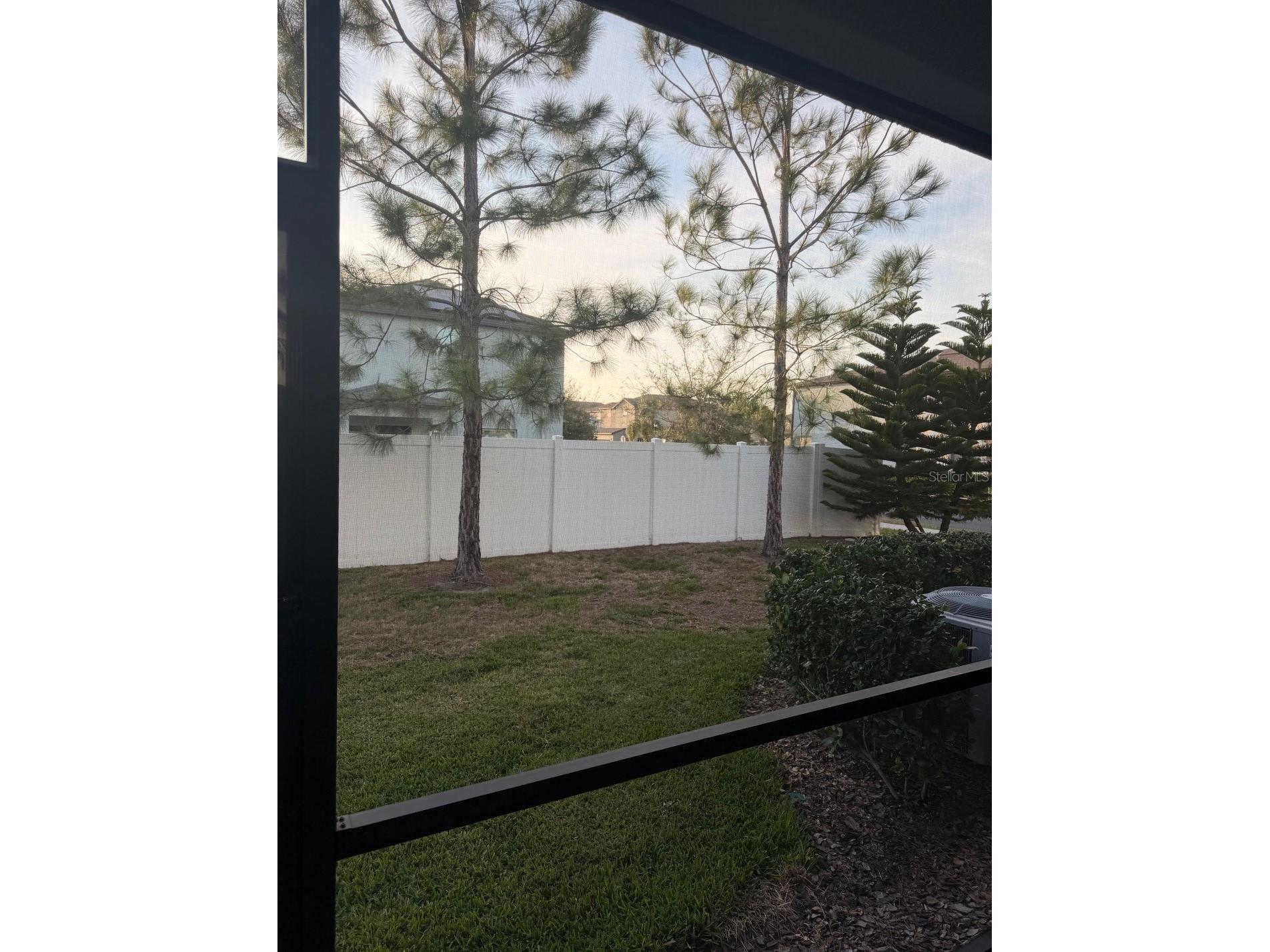 4003 Wild Senna Boulevard Tampa FL 33619 TB8478042 image19